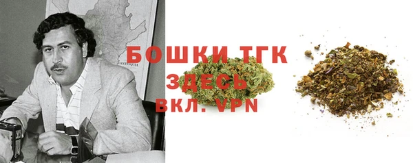 ПСИЛОЦИБИНОВЫЕ ГРИБЫ Магас