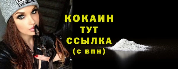 гидропоника Мегион