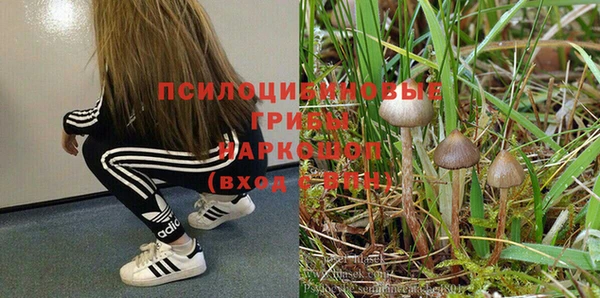 синтетический гашиш Медвежьегорск