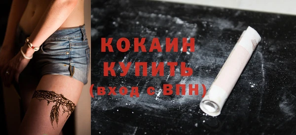 тгк Бикин