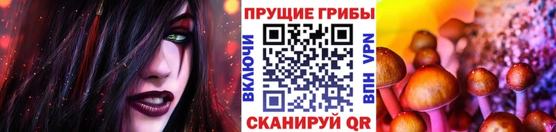 кракен вход Павловск Псилоцибиновые грибы ЛСД